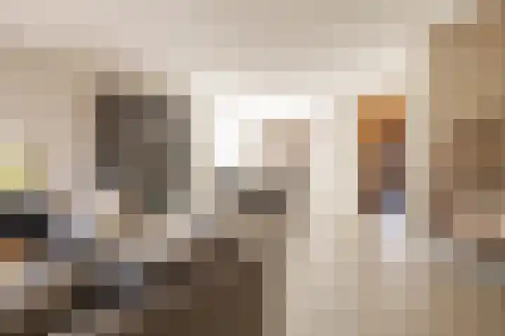 Waterdam 11 Wierden thumbnail 16
