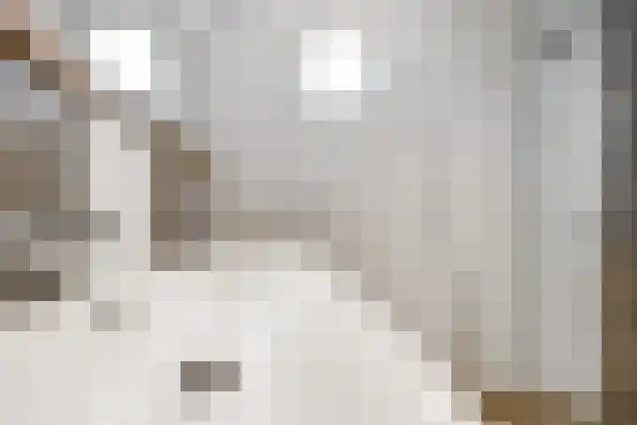 Waterdam 11 Wierden thumbnail 31
