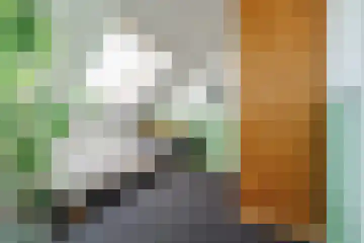 Waterdam 11 Wierden thumbnail 33