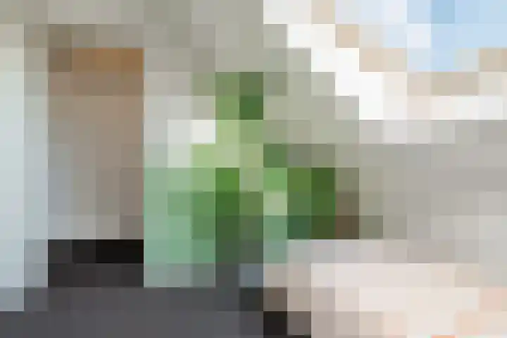 Waterdam 11 Wierden thumbnail 34