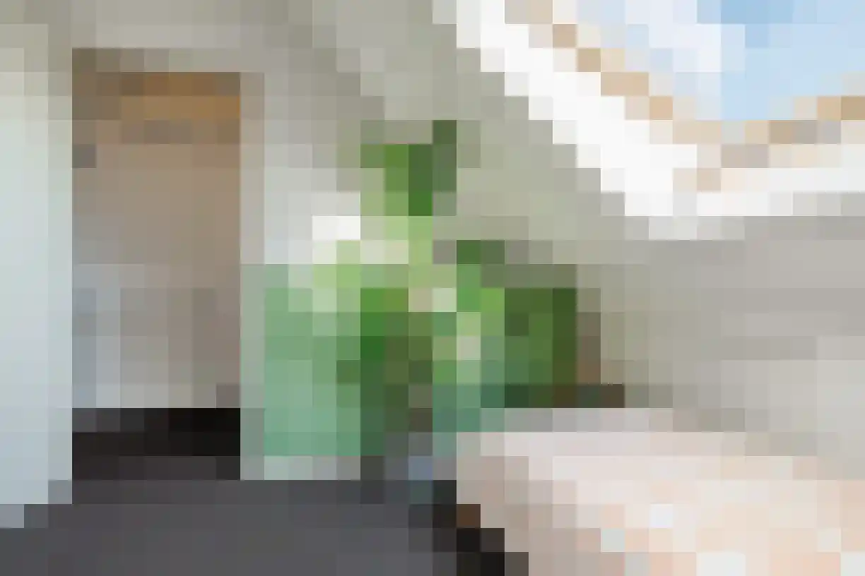 Waterdam 11 Wierden thumbnail 34