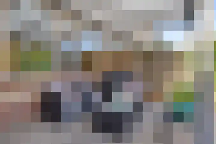 Waterdam 11 Wierden thumbnail 38