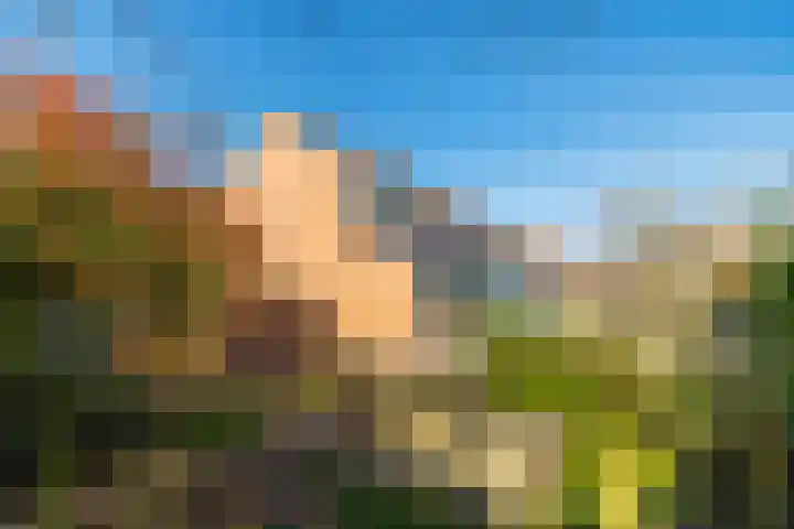 Waterdam 11 Wierden thumbnail 44