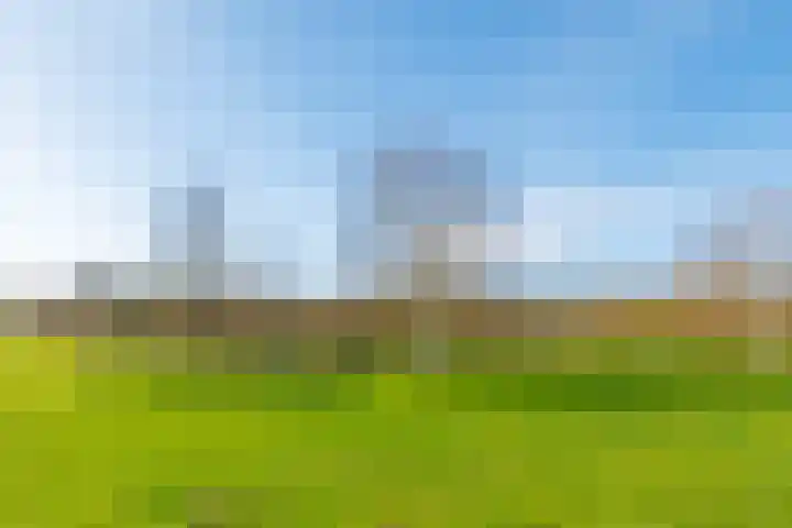 Waterdam 11 Wierden thumbnail 52