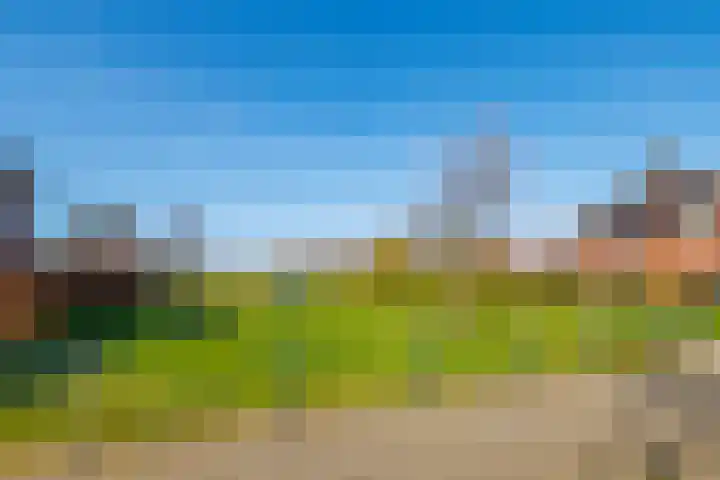 Waterdam 11 Wierden thumbnail 53