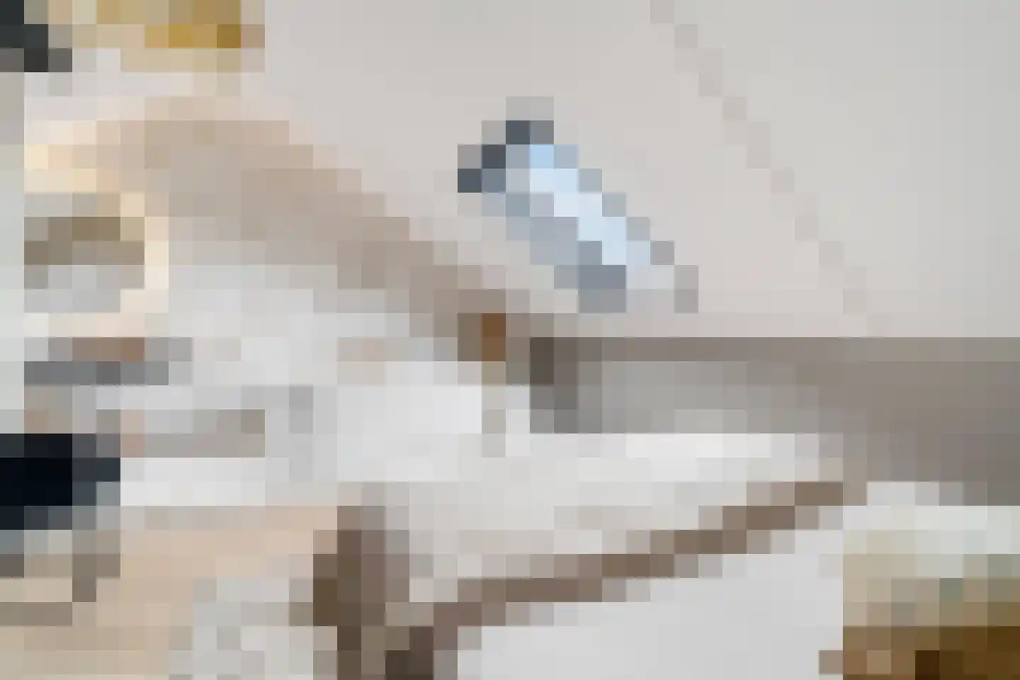 Waterdam 13 Wierden thumbnail 29