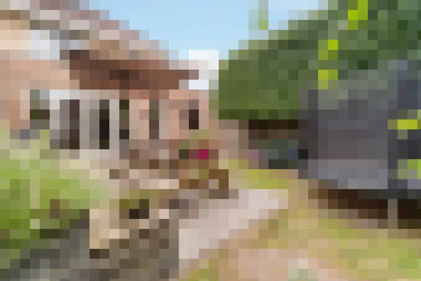 Waterdam 13 Wierden thumbnail 35