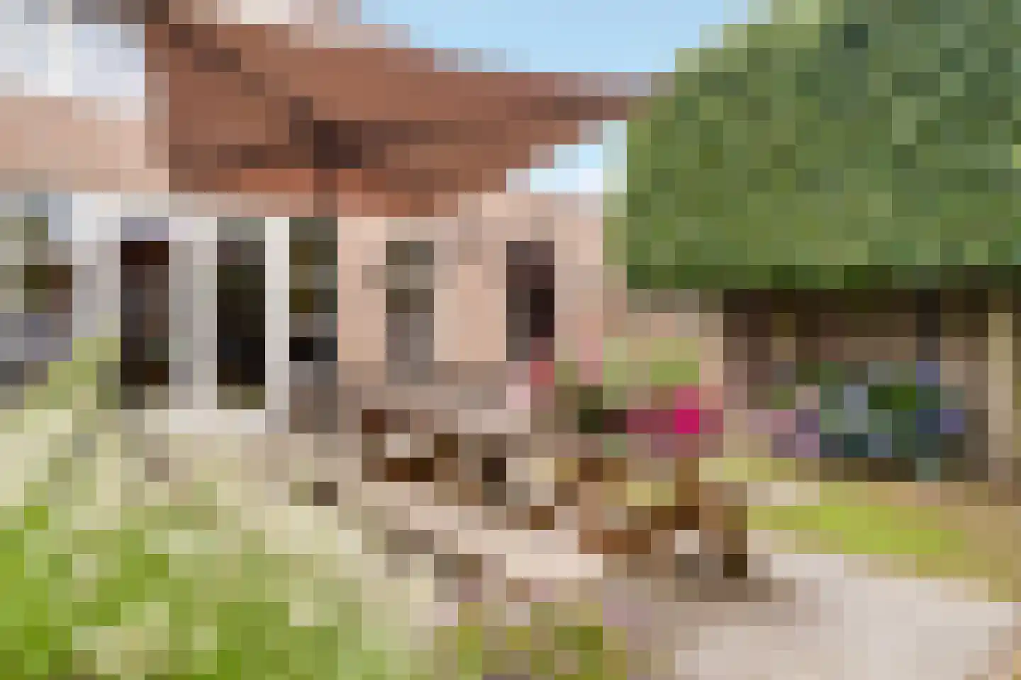 Waterdam 13 Wierden thumbnail 36