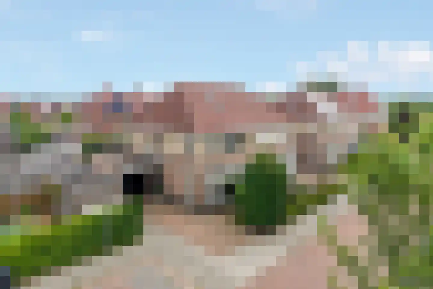 Waterdam 13 Wierden thumbnail 40