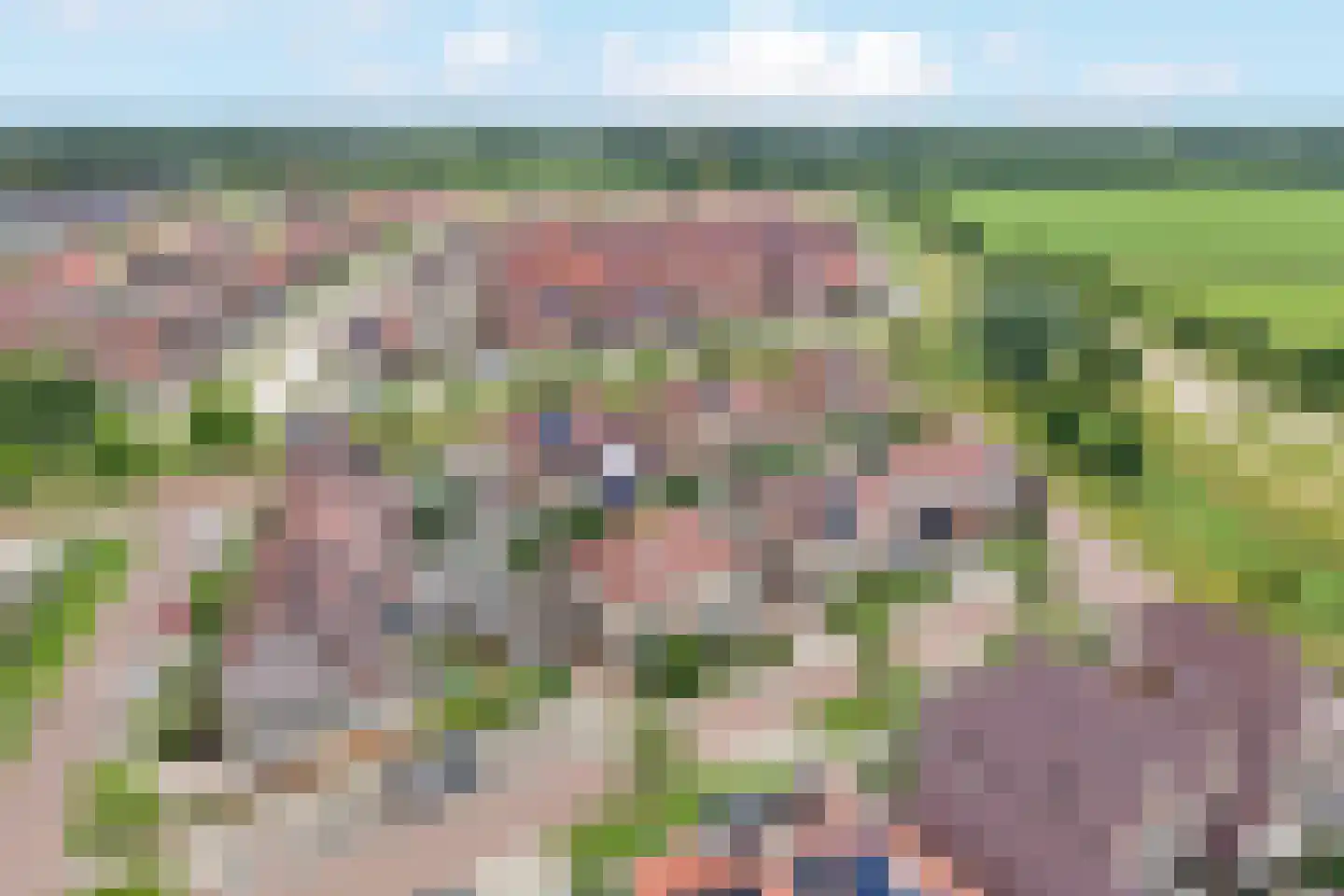 Waterdam 13 Wierden thumbnail 41