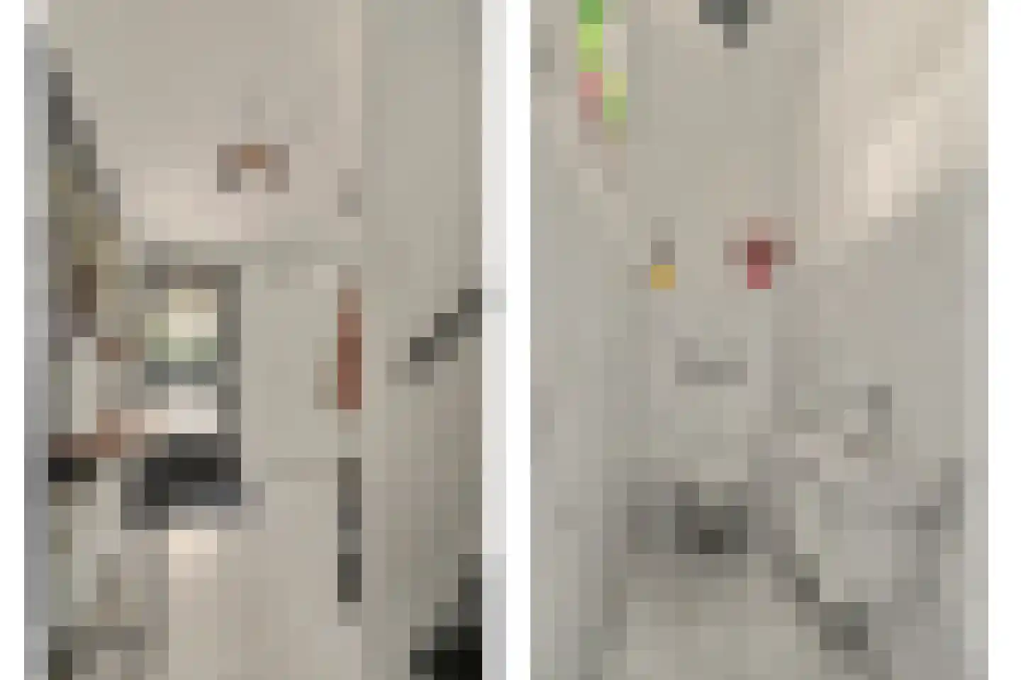 Waterdekmos 1 Reeuwijk thumbnail 10