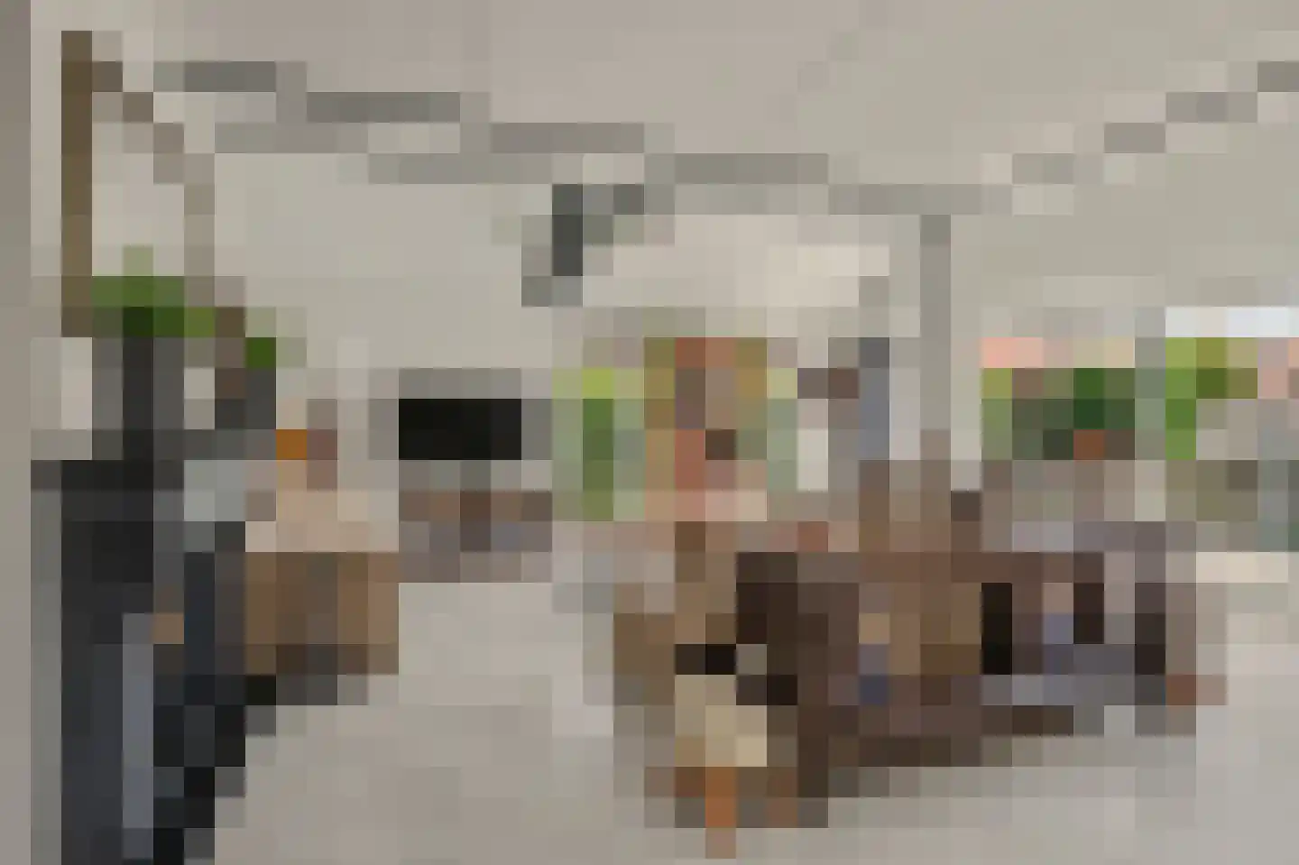 Waterdekmos 1 Reeuwijk thumbnail 11