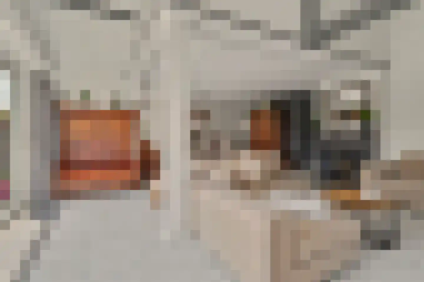 Waterdekmos 1 Reeuwijk thumbnail 12