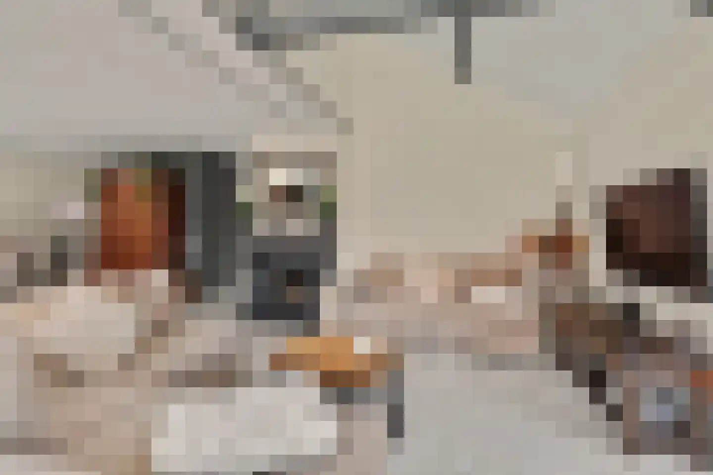 Waterdekmos 1 Reeuwijk thumbnail 13