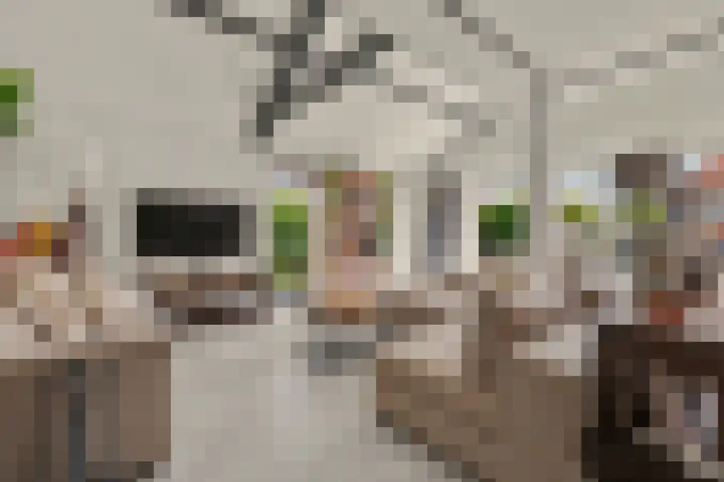 Waterdekmos 1 Reeuwijk thumbnail 15