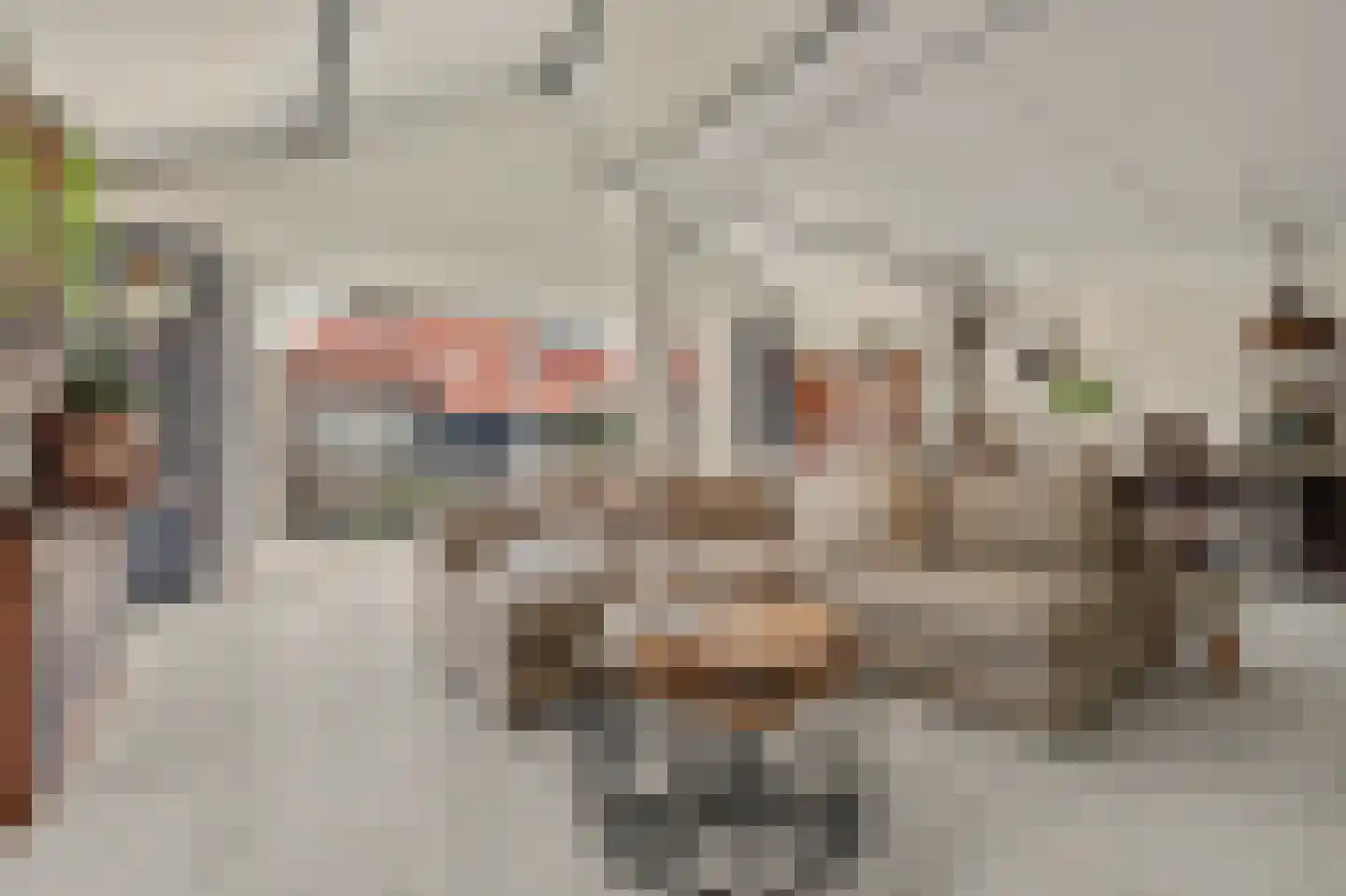 Waterdekmos 1 Reeuwijk thumbnail 16