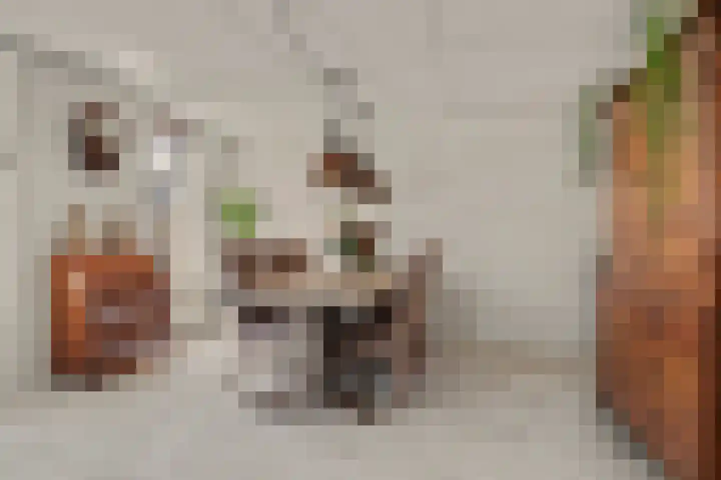 Waterdekmos 1 Reeuwijk thumbnail 17