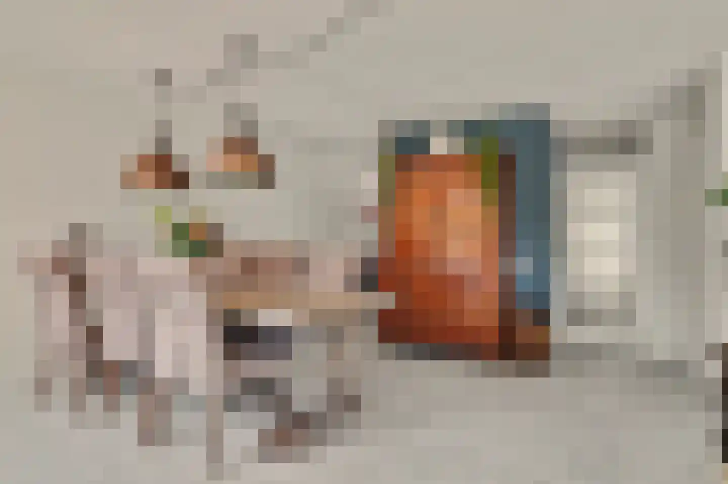 Waterdekmos 1 Reeuwijk thumbnail 18