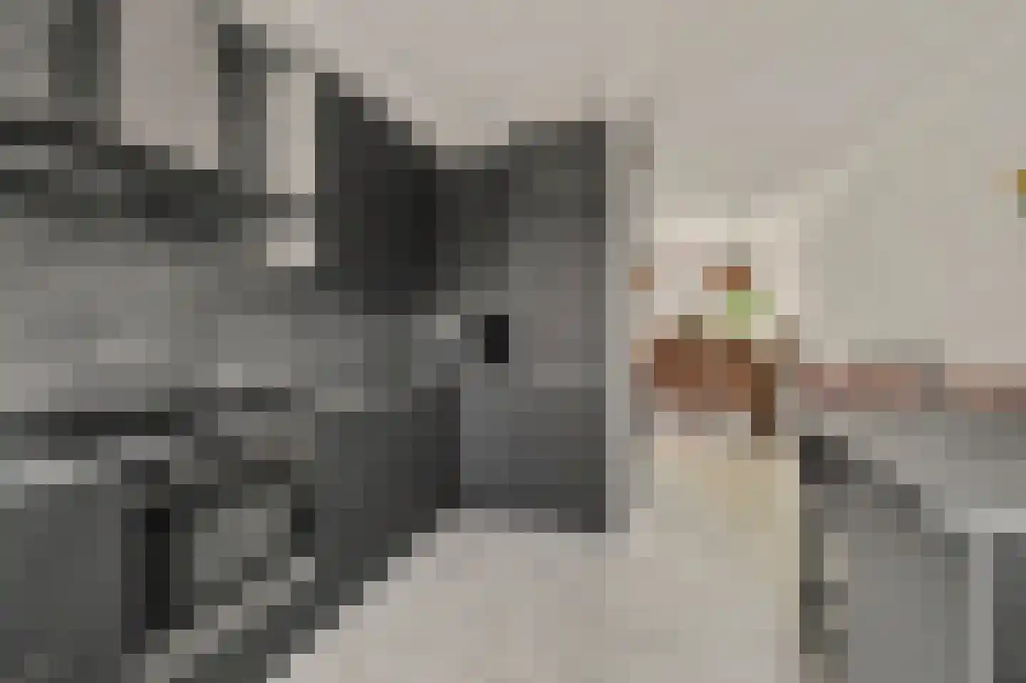 Waterdekmos 1 Reeuwijk thumbnail 21