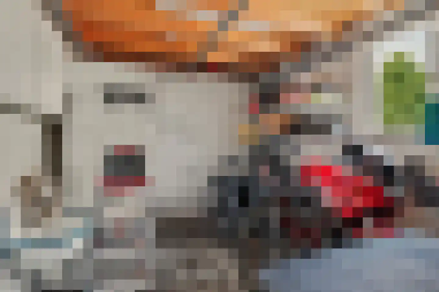 Waterdekmos 1 Reeuwijk thumbnail 24