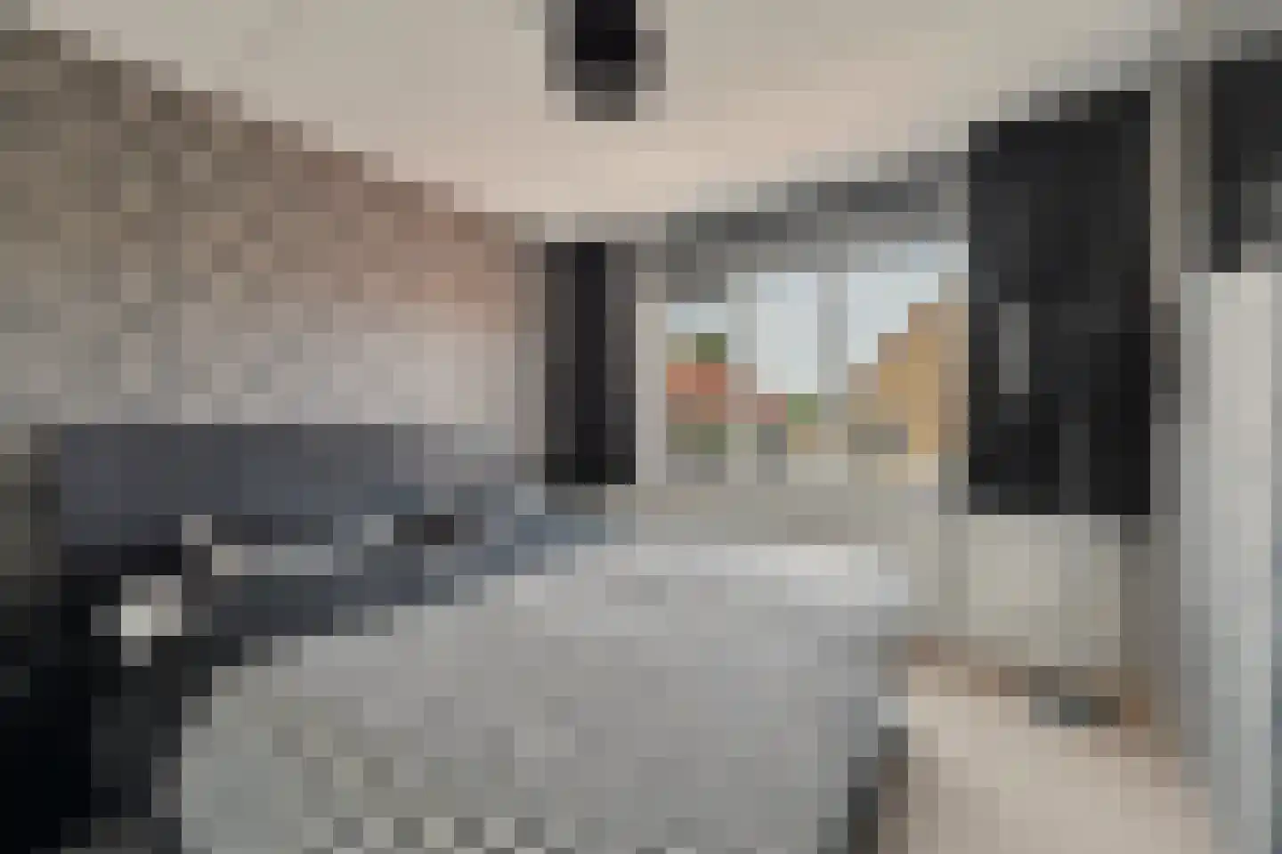Waterdekmos 1 Reeuwijk thumbnail 27