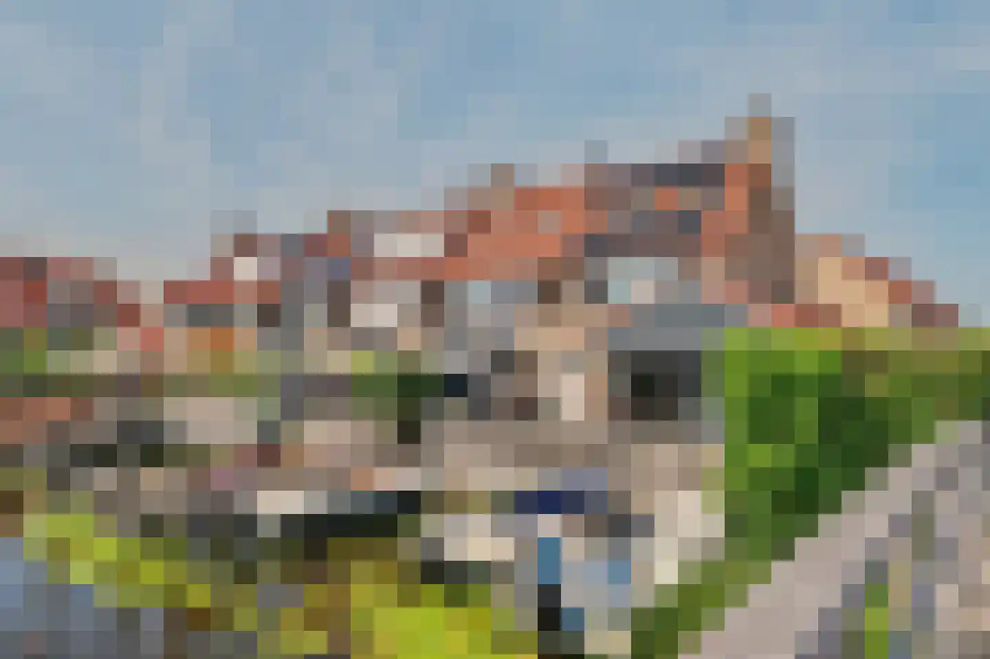 Waterdekmos 1 Reeuwijk foto 3