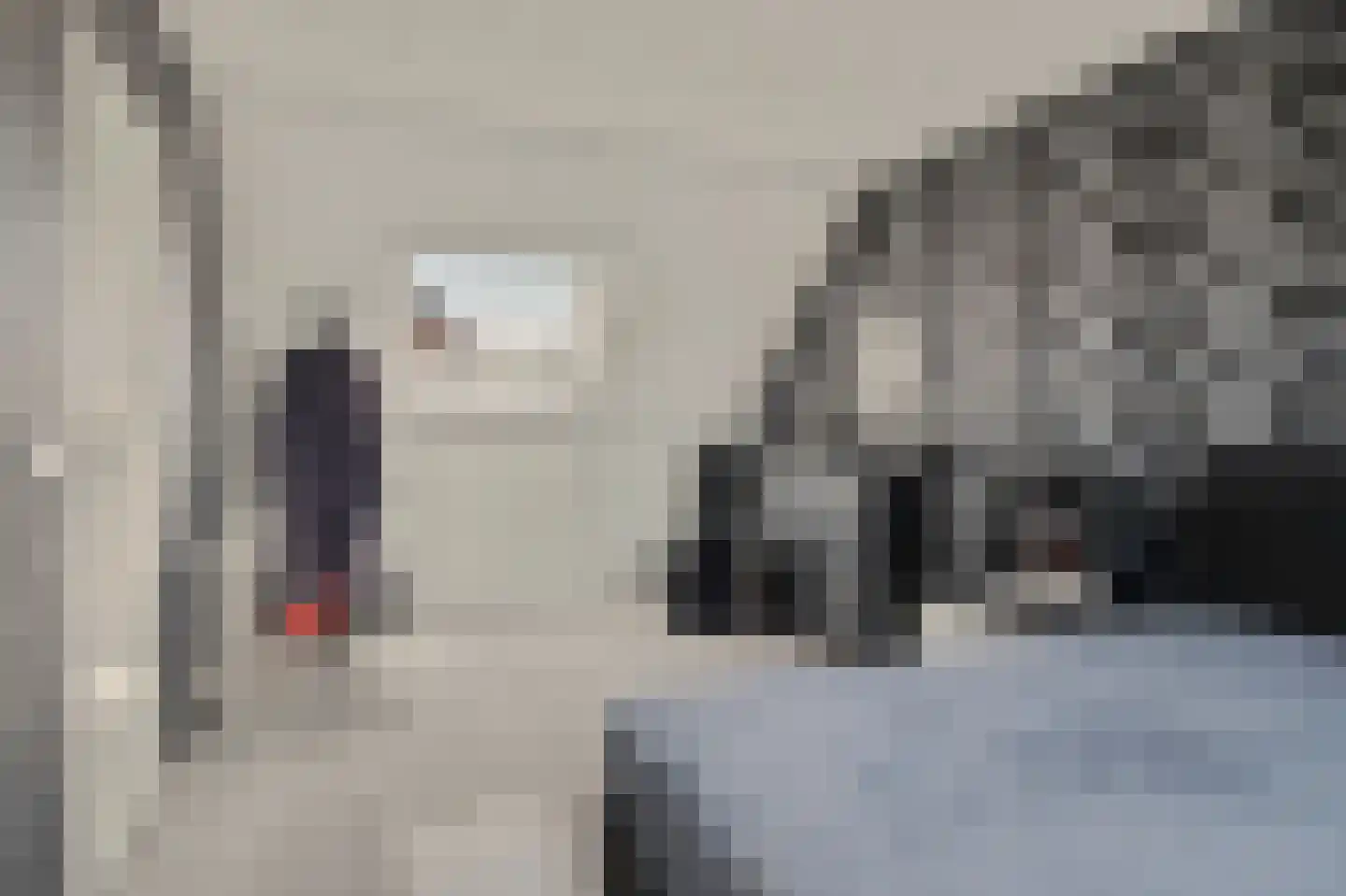 Waterdekmos 1 Reeuwijk thumbnail 37