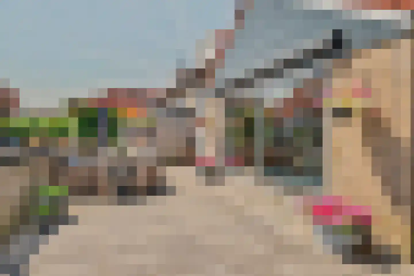 Waterdekmos 1 Reeuwijk thumbnail 39