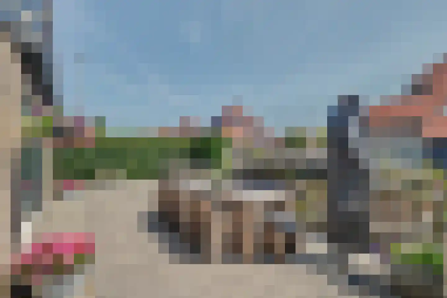 Waterdekmos 1 Reeuwijk thumbnail 4