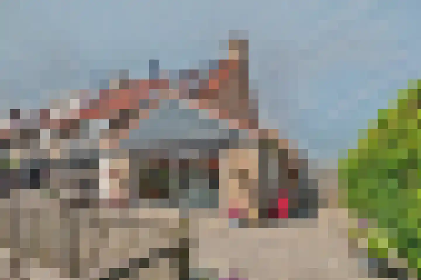 Waterdekmos 1 Reeuwijk thumbnail 41