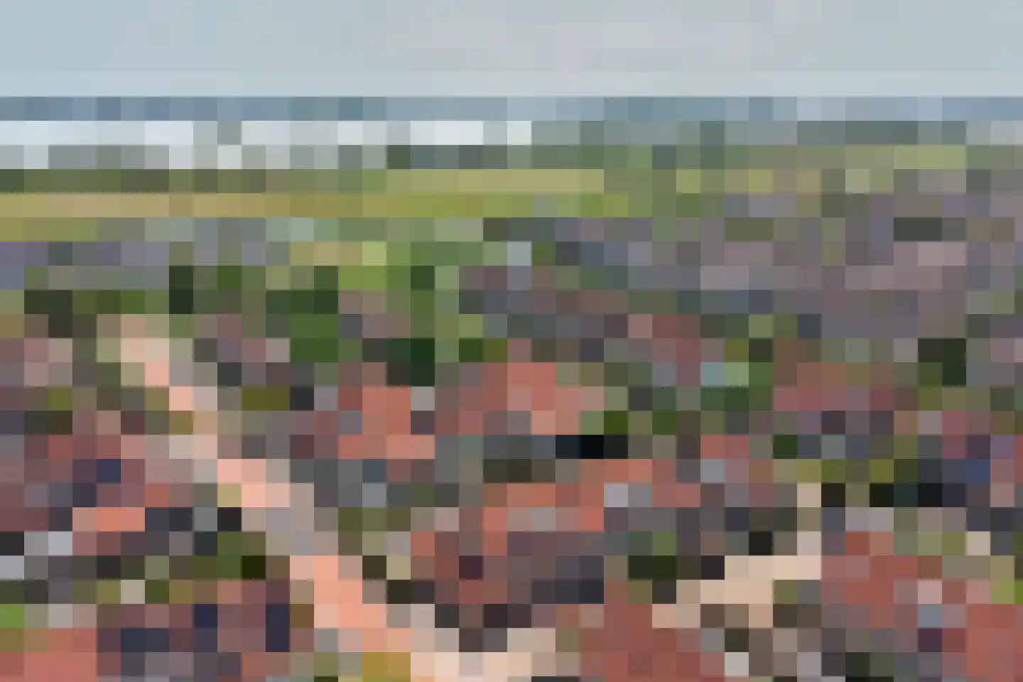 Waterdekmos 1 Reeuwijk thumbnail 46