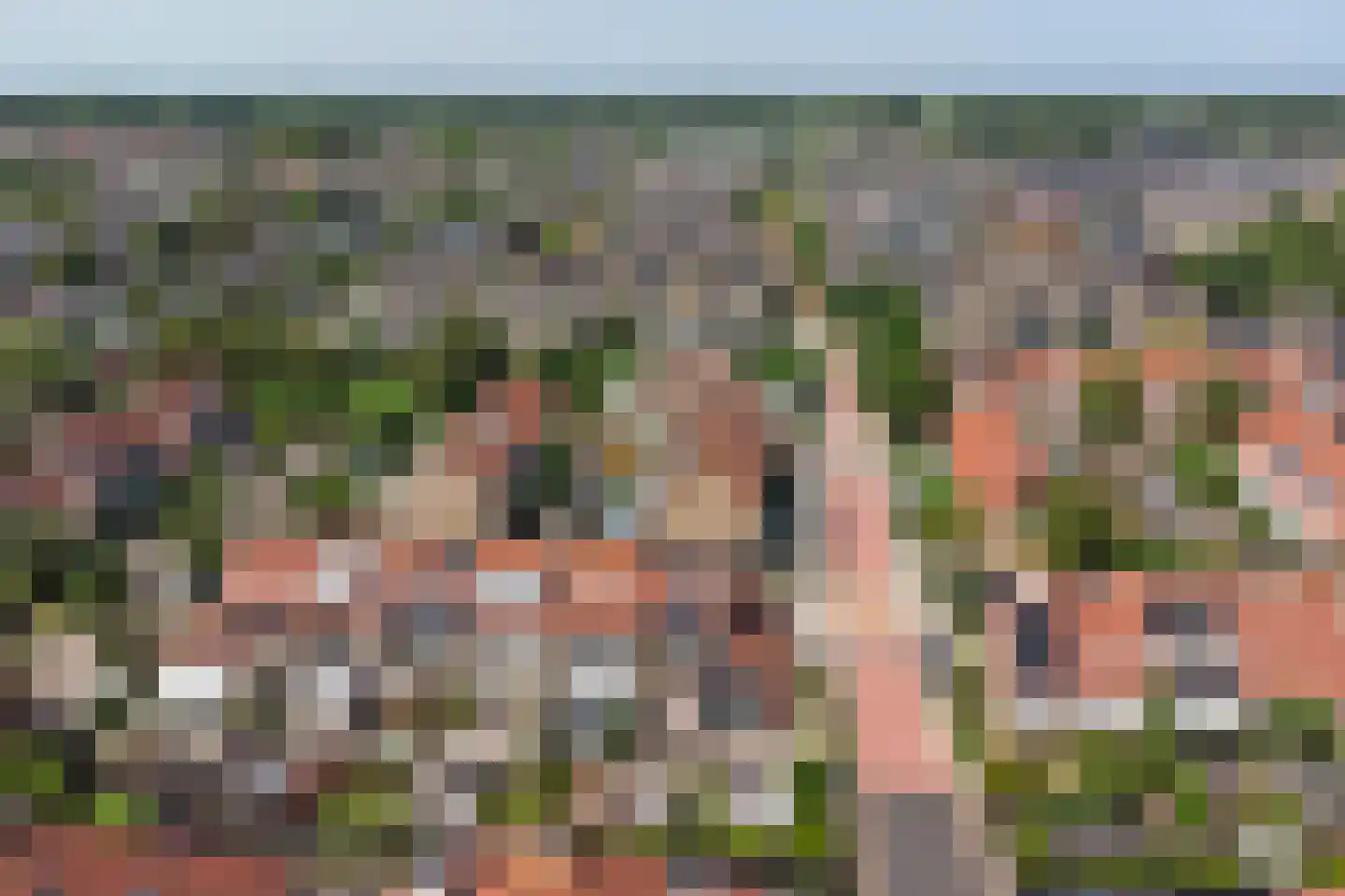 Waterdekmos 1 Reeuwijk thumbnail 48