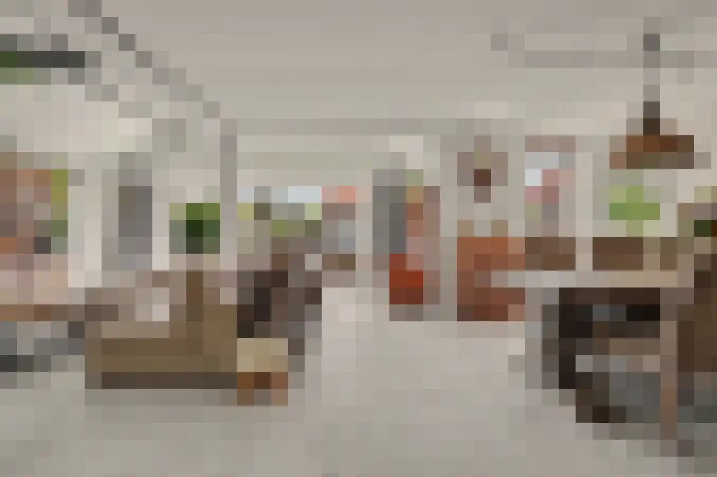 Waterdekmos 1 Reeuwijk thumbnail 5