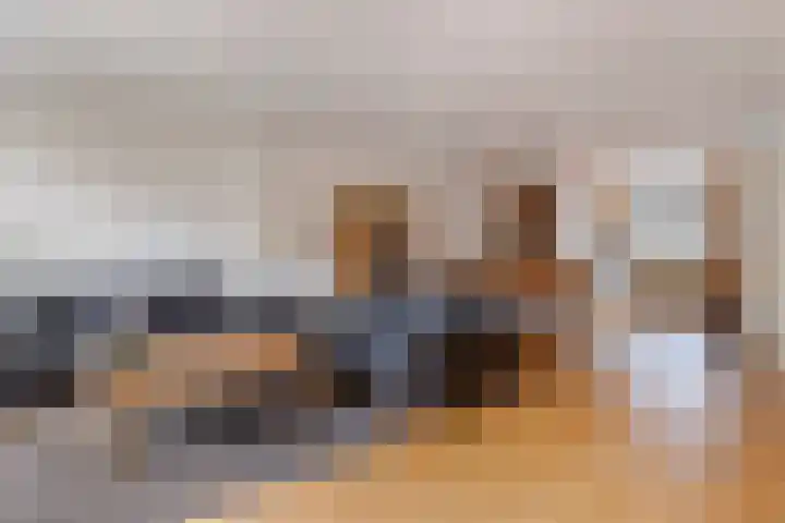 Waterdekmos 8 Reeuwijk thumbnail 11