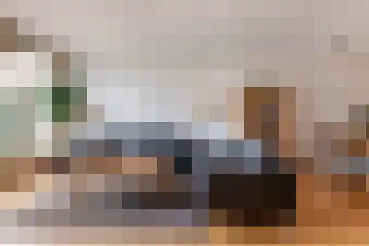 Waterdekmos 8 Reeuwijk thumbnail 12