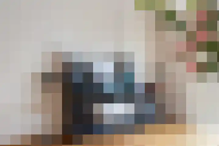 Waterdekmos 8 Reeuwijk thumbnail 16