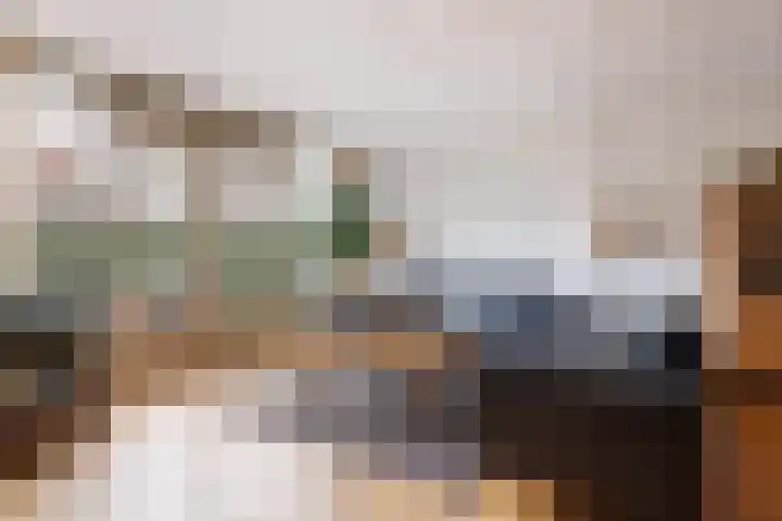 Waterdekmos 8 Reeuwijk thumbnail 18