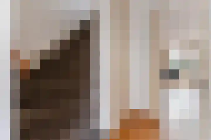 Waterdekmos 8 Reeuwijk thumbnail 21