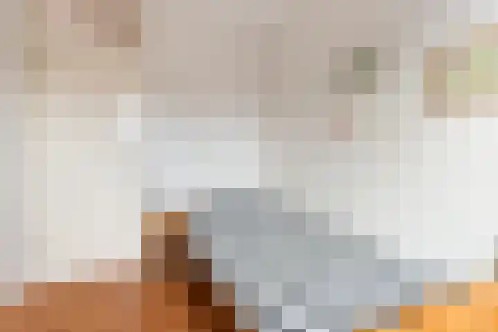 Waterdekmos 8 Reeuwijk thumbnail 25