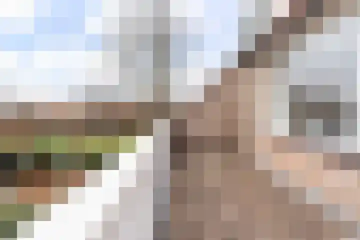 Waterdekmos 8 Reeuwijk thumbnail 26
