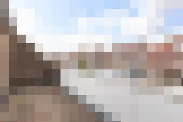 Waterdekmos 8 Reeuwijk thumbnail 27