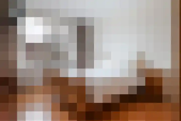 Waterdekmos 8 Reeuwijk thumbnail 28