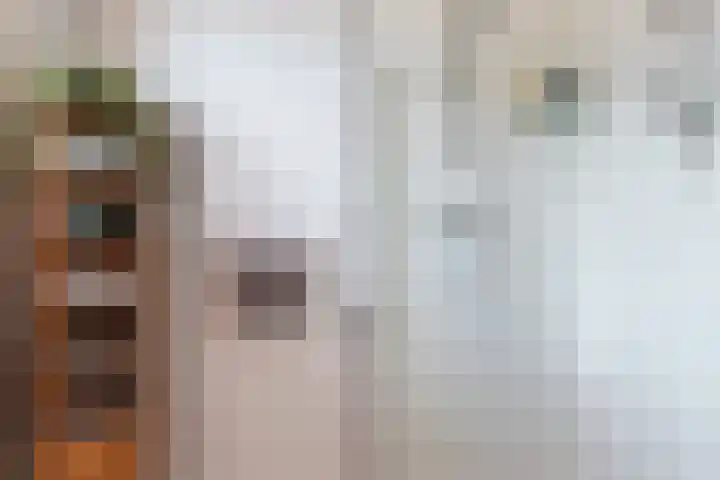 Waterdekmos 8 Reeuwijk thumbnail 34