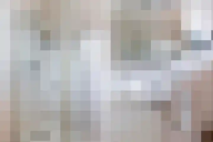 Waterdekmos 8 Reeuwijk thumbnail 35