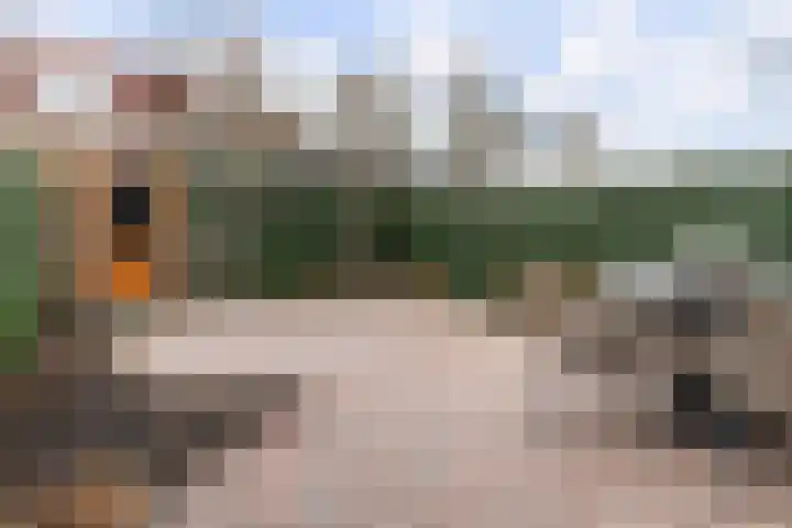 Waterdekmos 8 Reeuwijk thumbnail 39