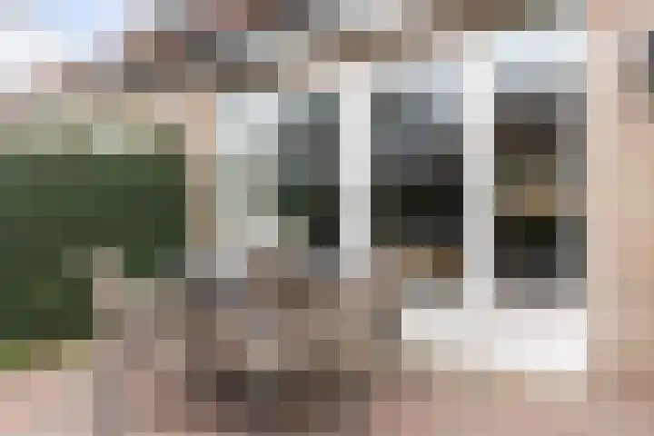 Waterdekmos 8 Reeuwijk thumbnail 40