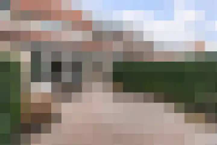 Waterdekmos 8 Reeuwijk thumbnail 41
