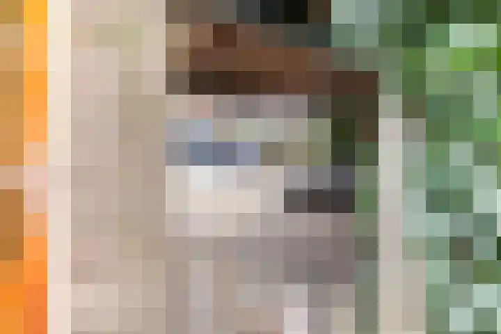 Waterdekmos 8 Reeuwijk thumbnail 42