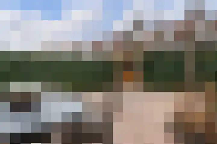 Waterdekmos 8 Reeuwijk thumbnail 43