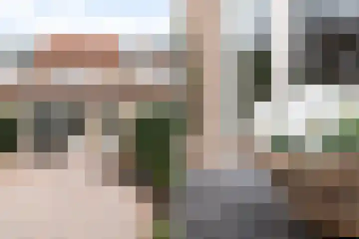 Waterdekmos 8 Reeuwijk thumbnail 44